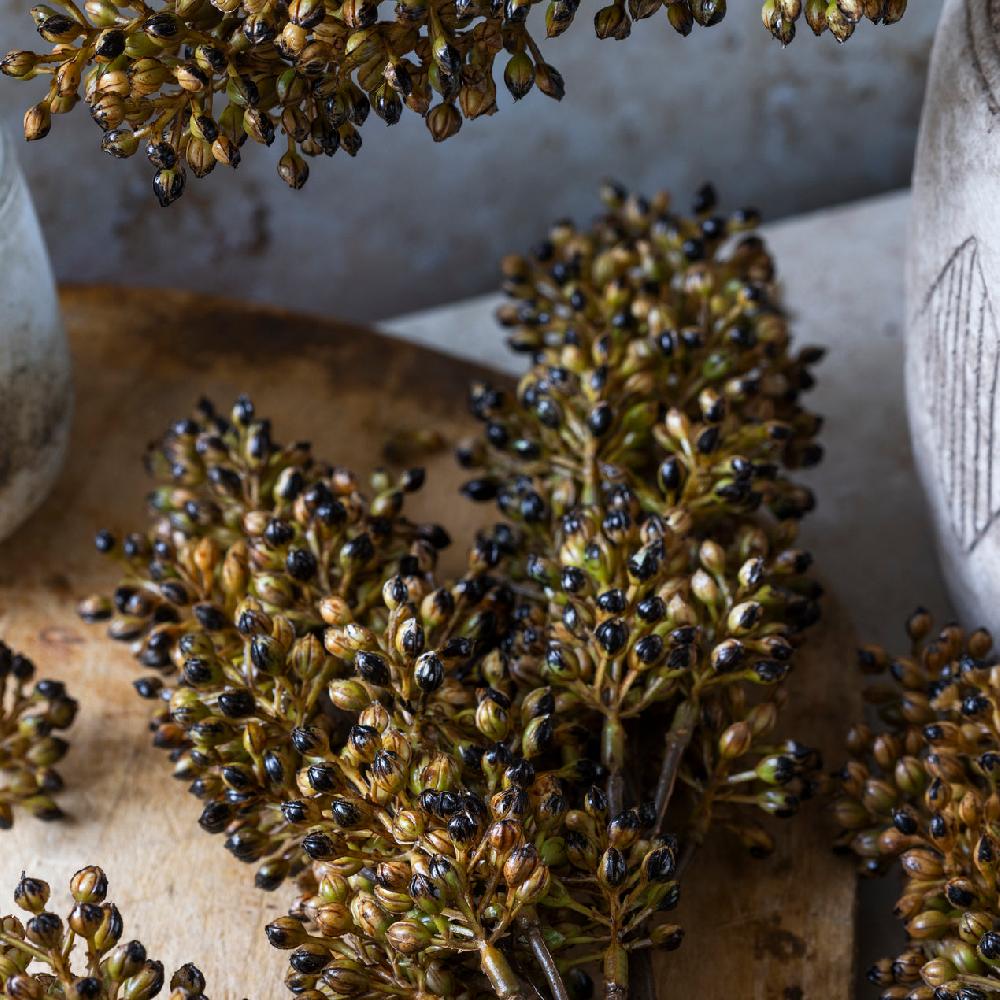 Reed & Barton Artificial Sorghum Stem Umber