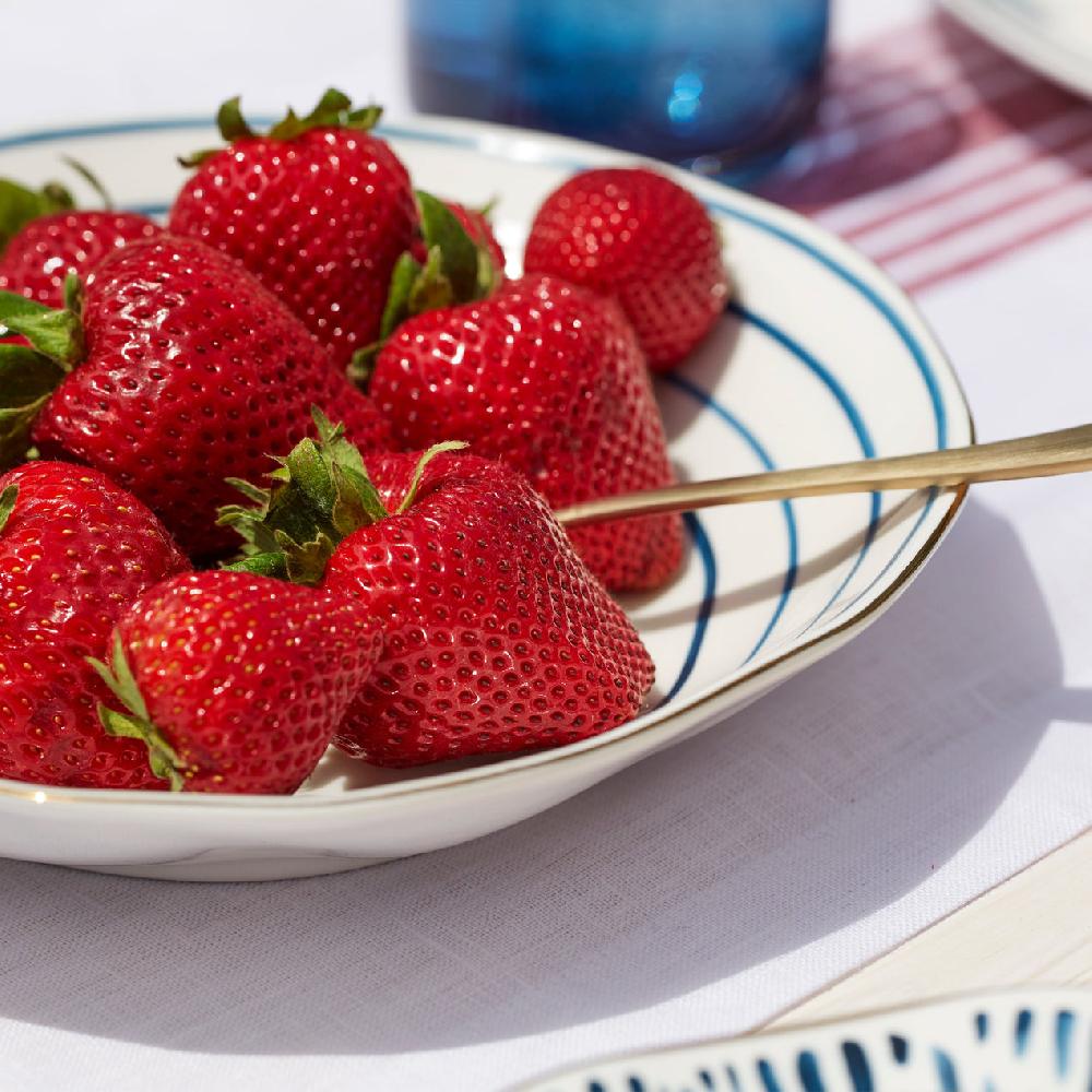 Reed & Barton Blue Bay Pasta Bowls - Set Of 4