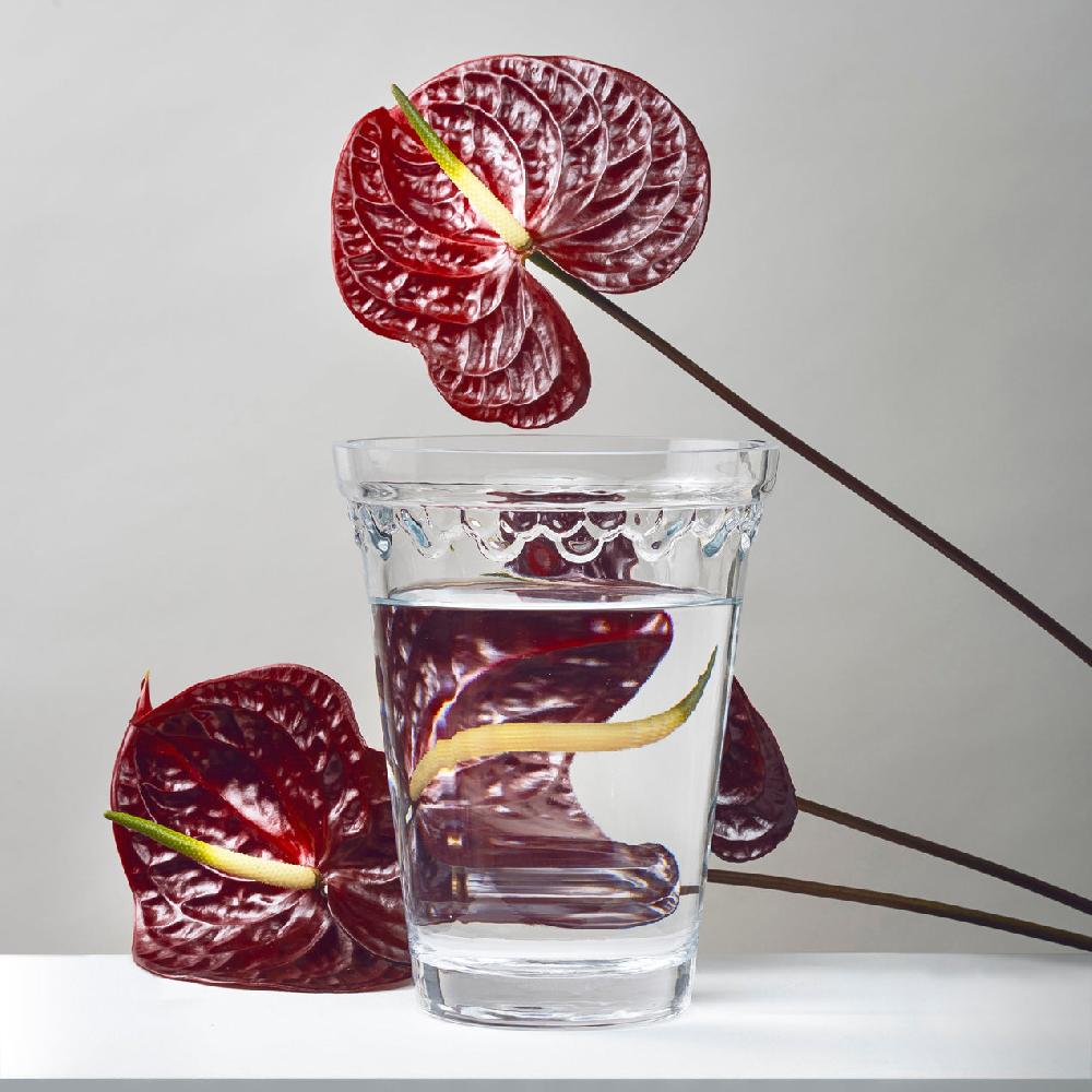 Reed & Barton Kobenhavner Clear Glass Vase