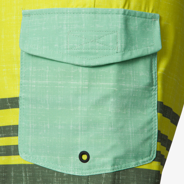 Reef Men's Shorts Boardshorts & Pants Casey Stripe Boardshort 17" Fair Green