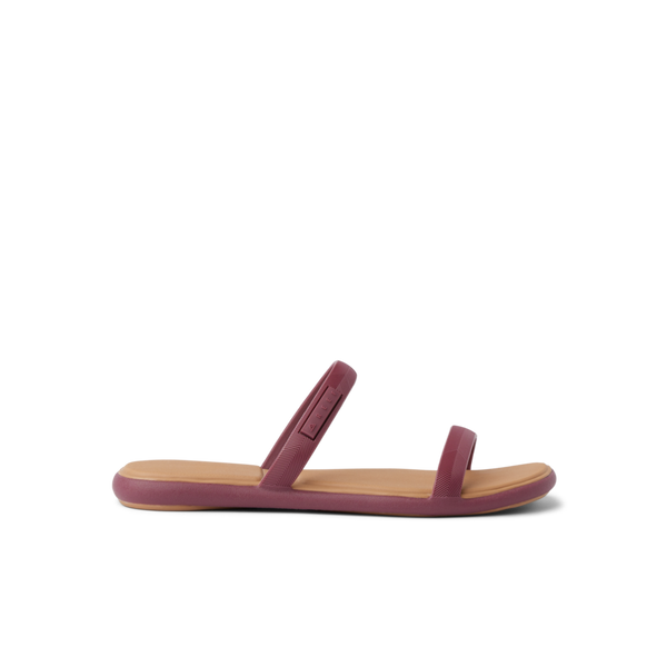 reef Women's Footwear Water Willow Marina Cordovan