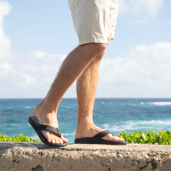 Reef Vacation Mode: Activated Cushion Phantom 2.0 Black