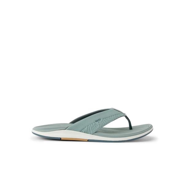 reef Vacation Mode: Activated Offshore Kelp And Sand