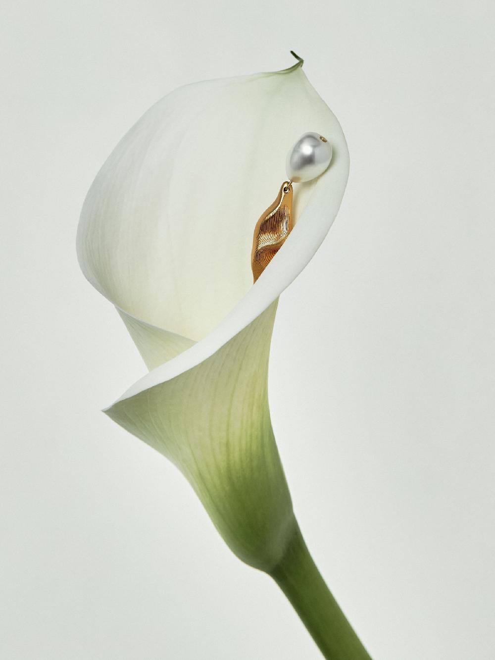 Reiss Faux-Pearl Molten Drop Earrings In Gold-Tone