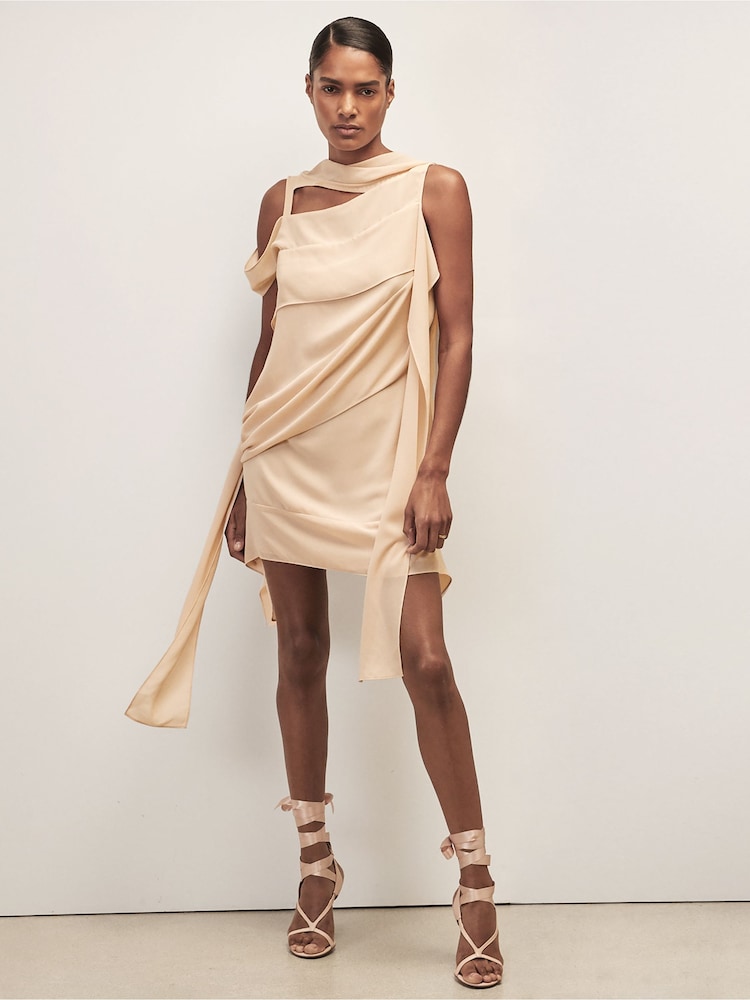 reiss Reiss | Royal Ballet Panel Shift Dress in Pale Pink