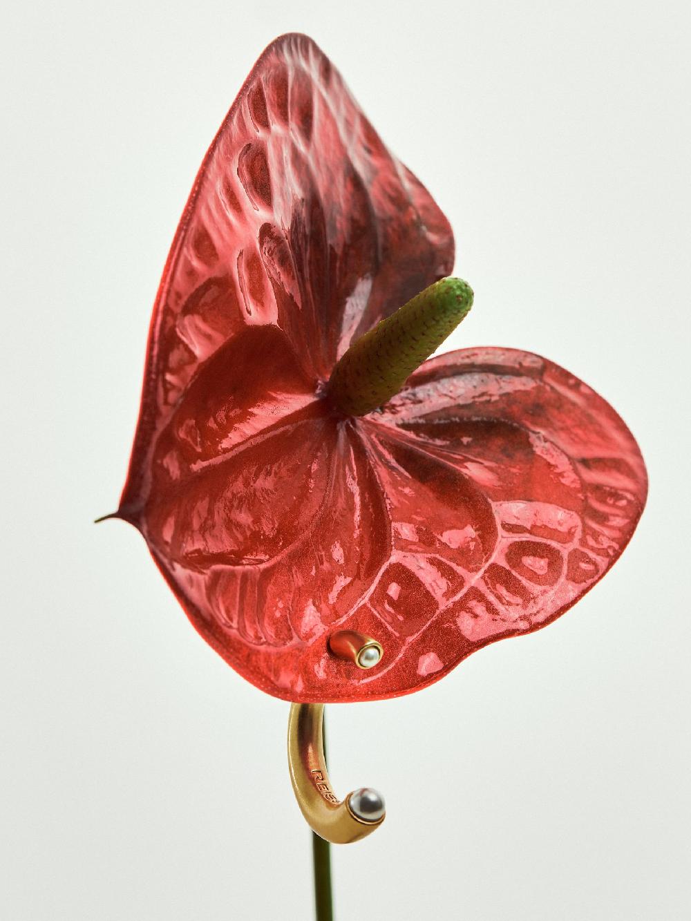 Reiss Tone Pearl Earrings In Gold