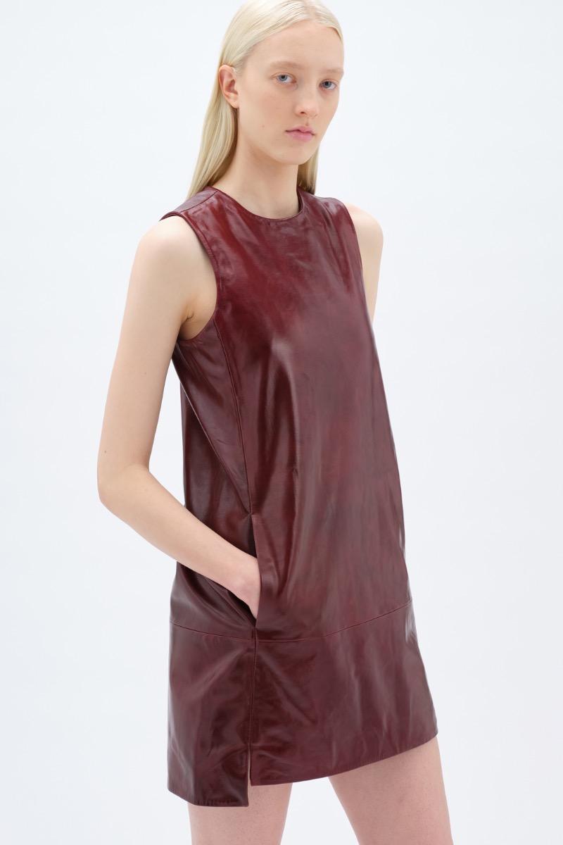 Remain Birger Christensen Mini Leather Dress Bordeaux