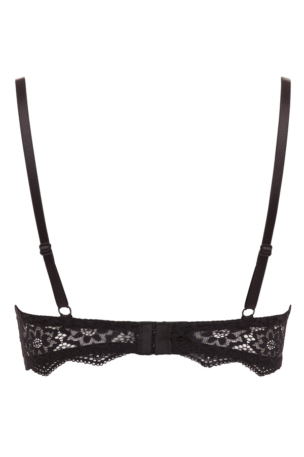 Rene Rofe 2 Pack Lace Push Up Bra
