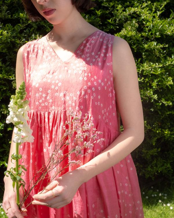 Renli Su ARIEL DRESS