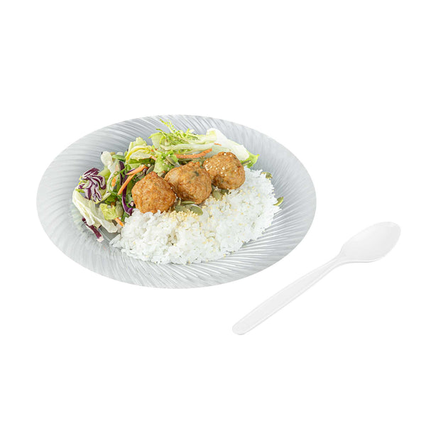 Restaurantware Basic Nature White PLA Plastic Spoon - Compostable - 6 1/4" X 1 1/4" X 1/2" - 250 Count Box