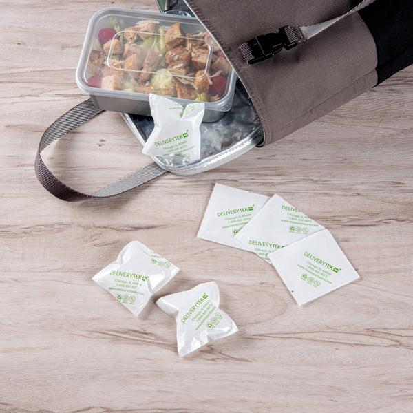 Restaurantware Delivery Tek Plastic Shipping Ice Pack - 2 3/4" X 2 1/2" - 100 Count Box
