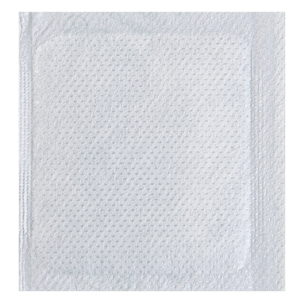 Restaurantware Delivery Tek Plastic Shipping Ice Pack - 2 3/4" X 2 1/2" - 100 Count Box