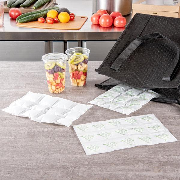Restaurantware Delivery Tek Plastic Shipping Ice Pack - 3 X 4 Cells - 11 1/2" X 7 3/4" - 100 Count Box