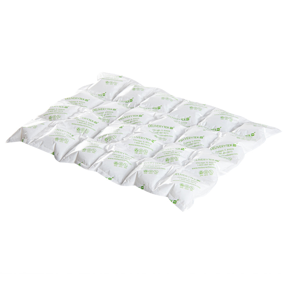 restaurantware Delivery Tek Plastic Shipping Ice Pack - 4 x 6 Cells - 15 1/4" x 11 1/2" - 100 count box