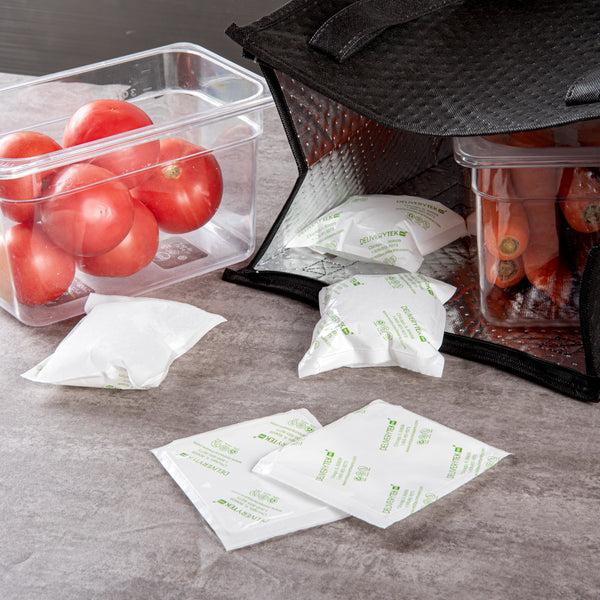 Restaurantware Delivery Tek Plastic Shipping Ice Pack - 5" X 4 1/2" - 100 Count Box