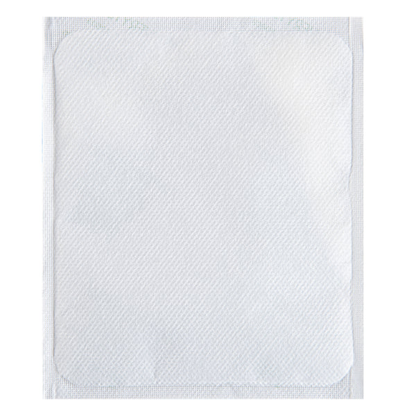 Restaurantware Delivery Tek Plastic Shipping Ice Pack - 6 1/4" X 5" - 100 Count Box
