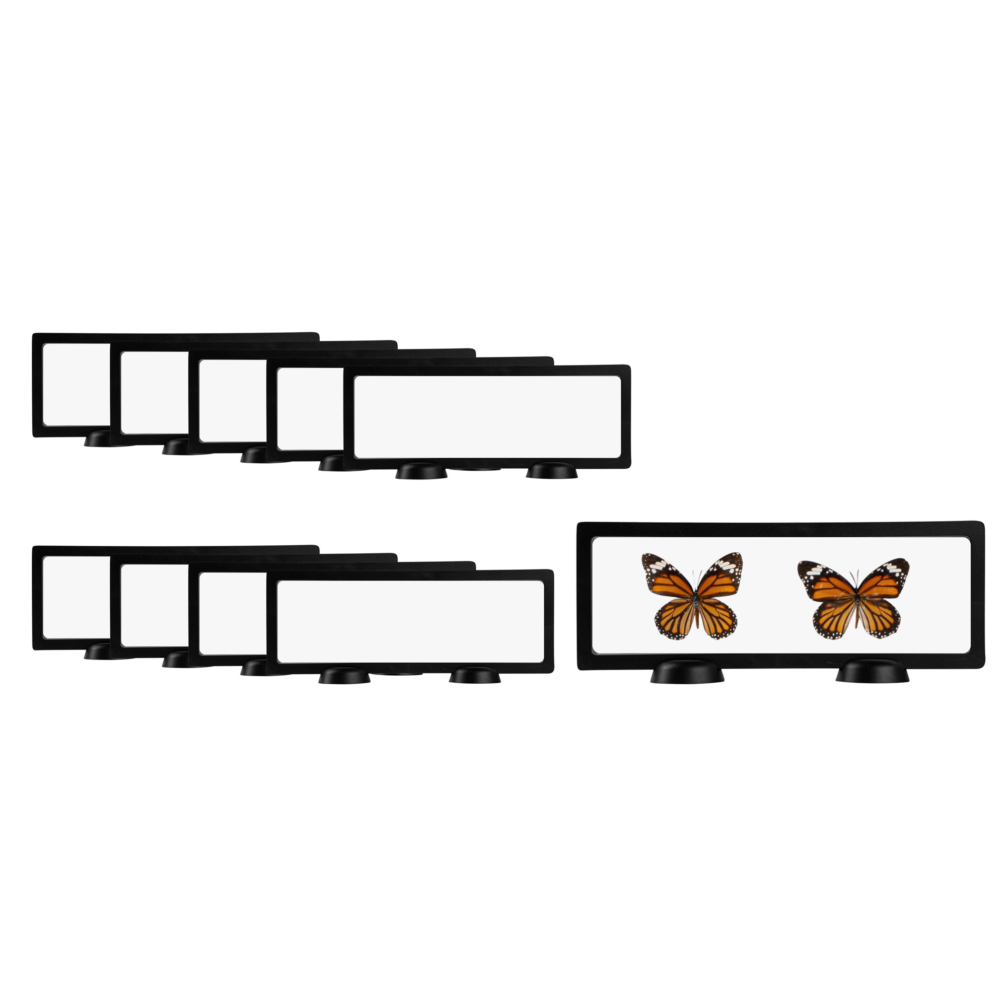 restaurantware Display Tek Rectangle Black Plastic 3D Floating Display Case - 11 3/4" x 4 1/4" x 3/4" - 10 count box