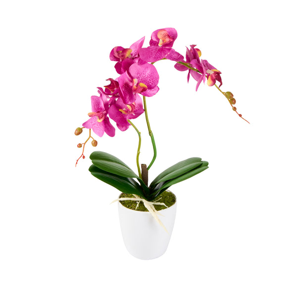 Restaurantware Fiore Round Magenta Plastic Moth Orchid In Plastic Pot - 8 Blooms - 4" X 4" X 15" - 12 Count Box