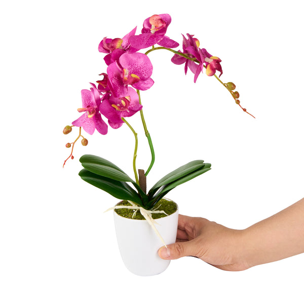 Restaurantware Fiore Round Magenta Plastic Moth Orchid In Plastic Pot - 8 Blooms - 4" X 4" X 15" - 12 Count Box