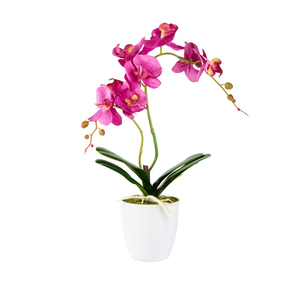 restaurantware Fiore Round Magenta Plastic Moth Orchid in Plastic Pot - 8 Blooms - 4" x 4" x 15" - 12 count box