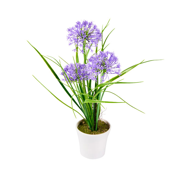Restaurantware Fiore Round Violet Plastic Violet Allium In Plastic Pot - 4" X 4" X 14" - 12 Count Box