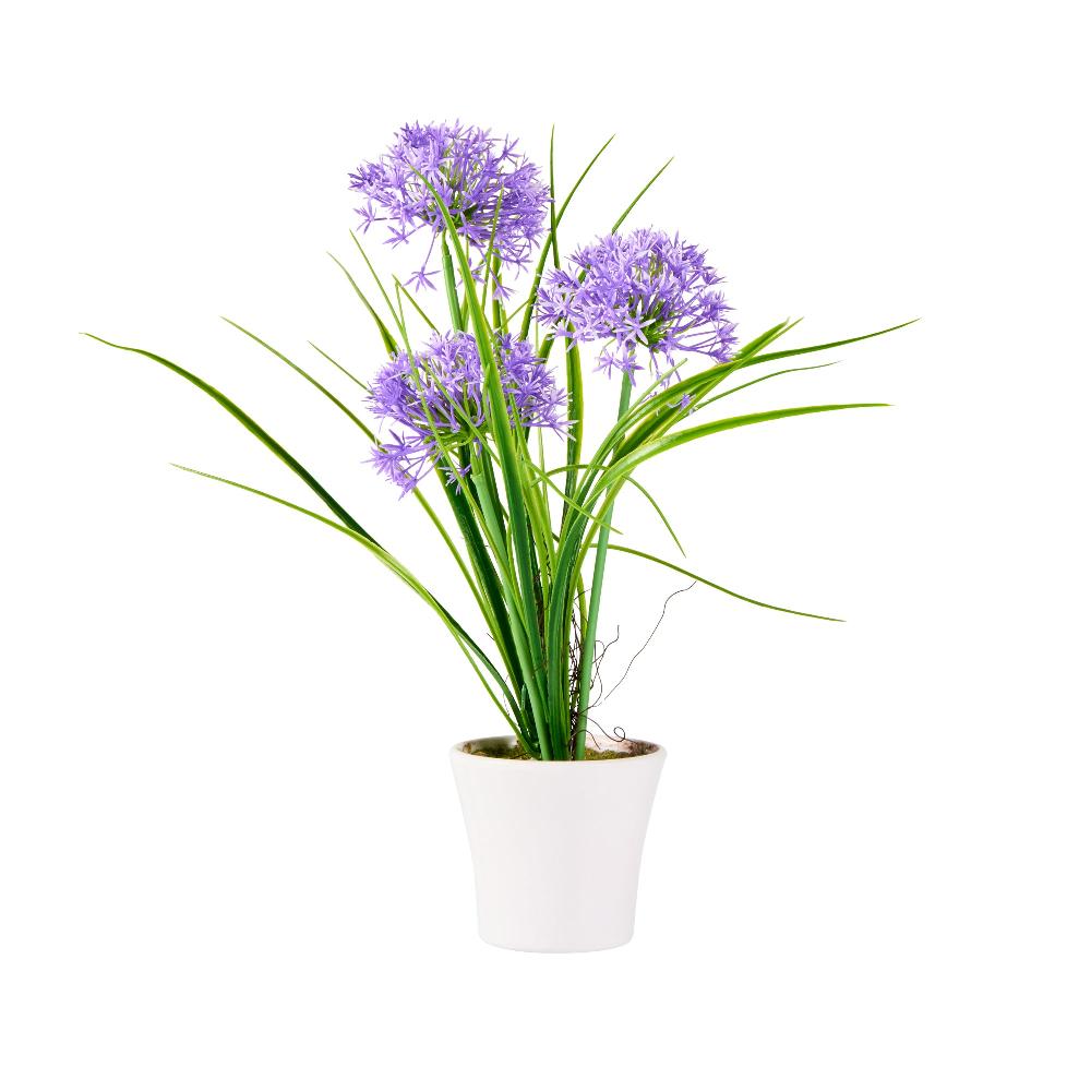 restaurantware Fiore Round Violet Plastic Violet Allium in Plastic Pot - 4" x 4" x 14" - 12 count box
