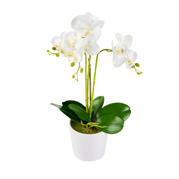 Restaurantware Fiore White Plastic Orchid In Plastic Pot - 12 Blooms - 5 1/2" X 5 1/2" X 19" - 6 Count Box