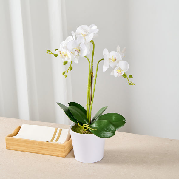 Restaurantware Fiore White Plastic Orchid In Plastic Pot - 12 Blooms - 5 1/2" X 5 1/2" X 19" - 6 Count Box