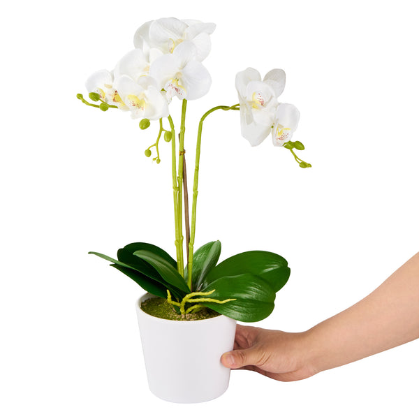 Restaurantware Fiore White Plastic Orchid In Plastic Pot - 12 Blooms - 5 1/2" X 5 1/2" X 19" - 6 Count Box