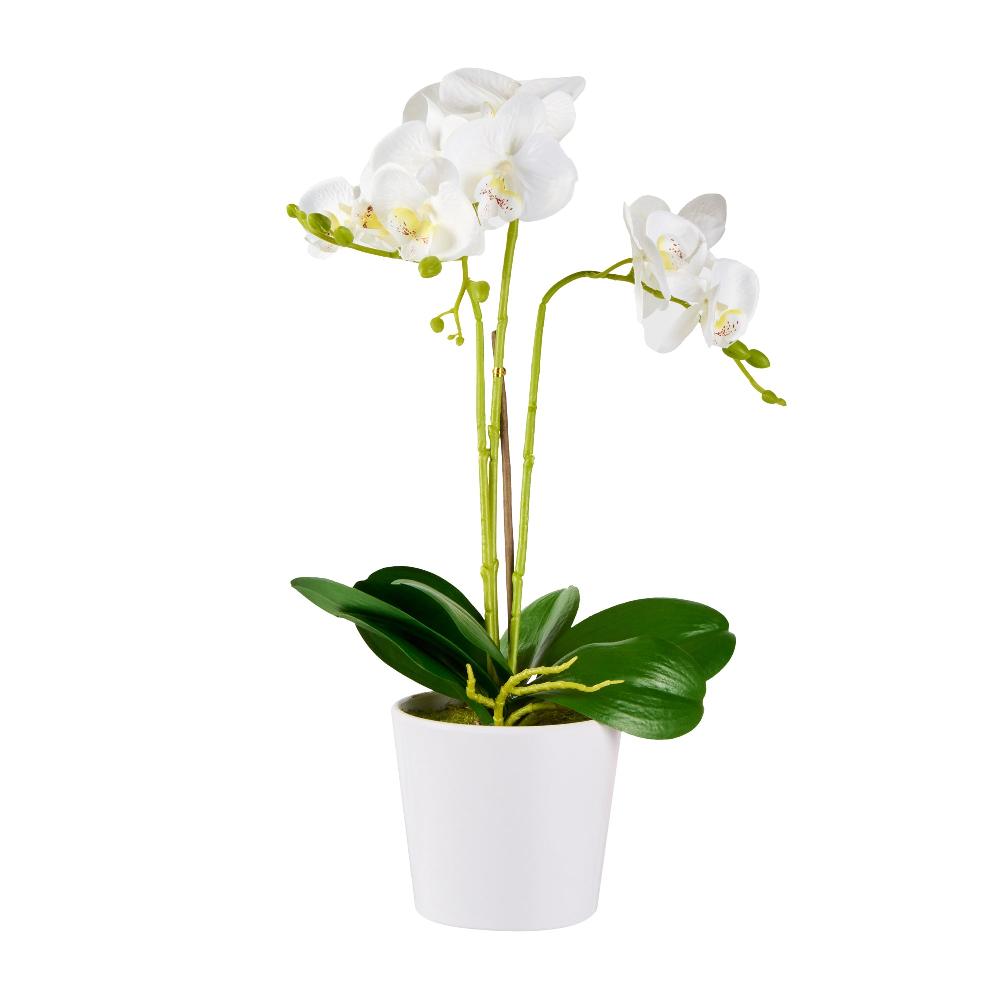 restaurantware Fiore White Plastic Orchid in Plastic Pot - 12 Blooms - 5 1/2" x 5 1/2" x 19" - 6 count box
