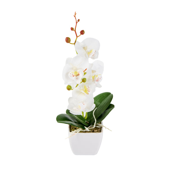 Restaurantware Fiore White Plastic Orchid In Plastic Pot - 5 Blooms - 4" X 4" X 13" - 12 Count Box