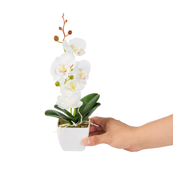 Restaurantware Fiore White Plastic Orchid In Plastic Pot - 5 Blooms - 4" X 4" X 13" - 12 Count Box
