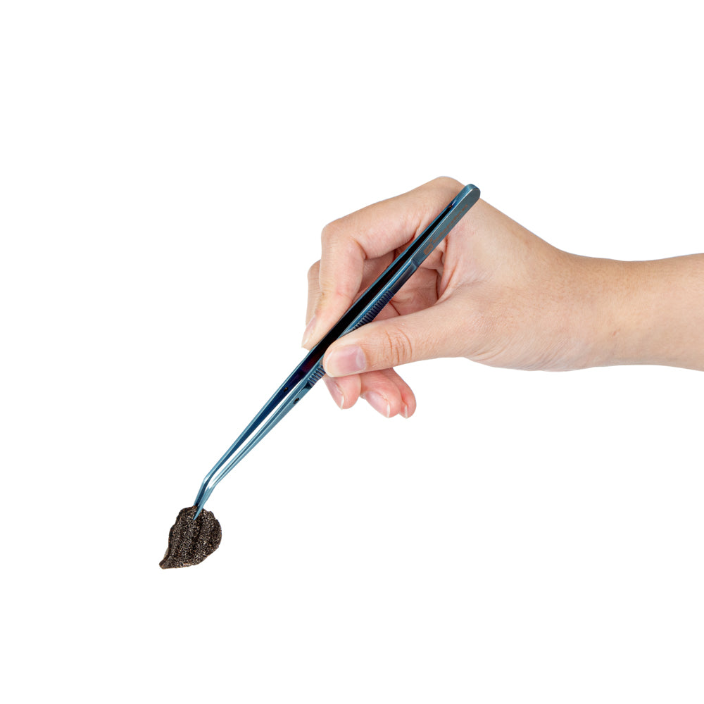 restaurantware Perfect Point Titanium Blue Stainless Steel Slant Nose Tweezers - 6 1/4" x 3/4" x 1/2" - 1 count box
