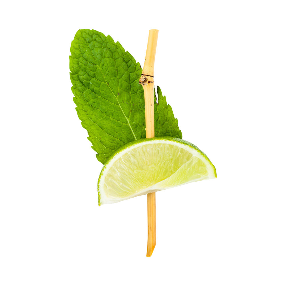 restaurantware Pixy Natural Bamboo Twig Pick - 4" - 1000 count box