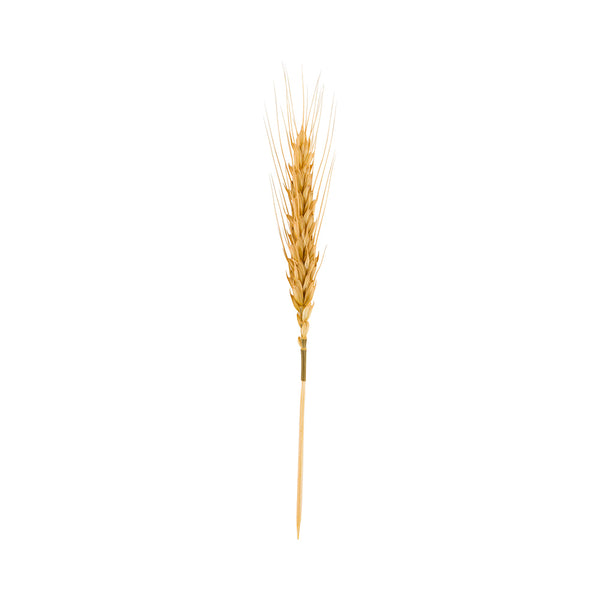 Restaurantware Pixy Natural Wheat Skewer - 6" - 500 Count Box