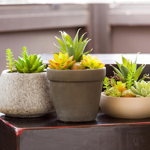 Restaurantware Plastic Table Art Faux Succulent Arrangement - Cement Flower Pot Brushed Charcoal - 5 1/2" X 5 1/2" X 9" - 1 Count Box