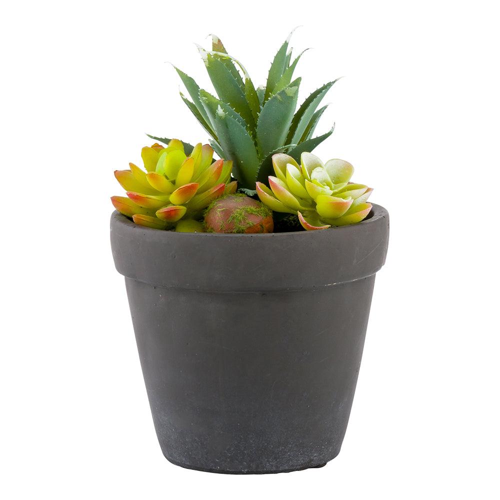 restaurantware Plastic Table Art Faux Succulent Arrangement - Cement Flower Pot Brushed Charcoal - 5 1/2" x 5 1/2" x 9" - 1 count box