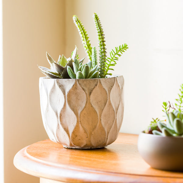 Restaurantware Plastic Table Art Faux Succulent Arrangement - Concrete Planter Light Gray - 6" X 6" X 7 3/4" - 1 Count Box
