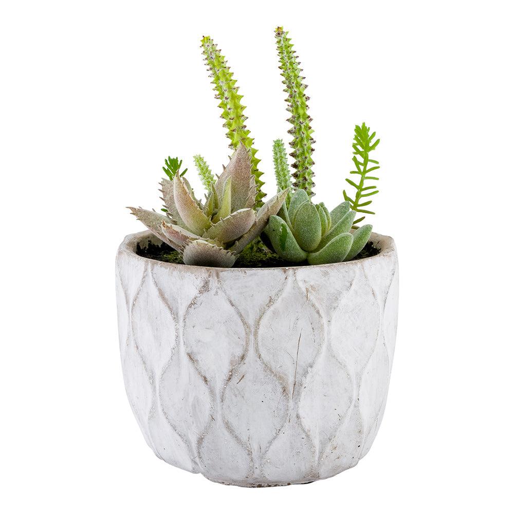 restaurantware Plastic Table Art Faux Succulent Arrangement - Concrete Planter Light Gray - 6" x 6" x 7 3/4" - 1 count box