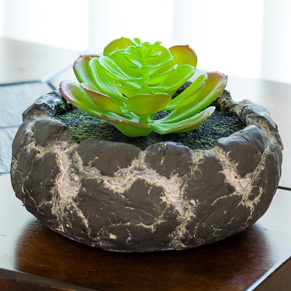 Restaurantware Plastic Table Art Faux Succulent Arrangement - Faux Volcanic Rock Cement Planter - 6" X 6" X 4 1/2" - 1 Count Box