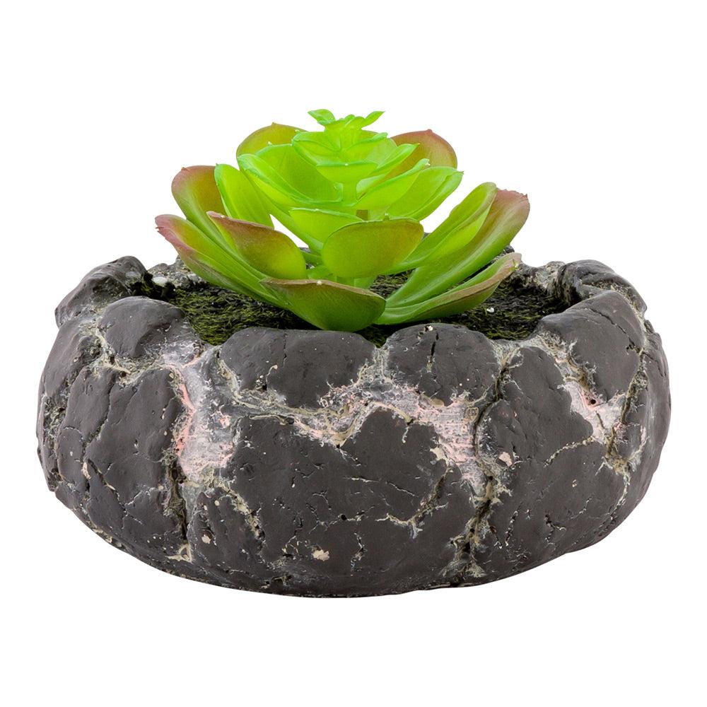 restaurantware Plastic Table Art Faux Succulent Arrangement - Faux Volcanic Rock Cement Planter - 6" x 6" x 4 1/2" - 1 count box