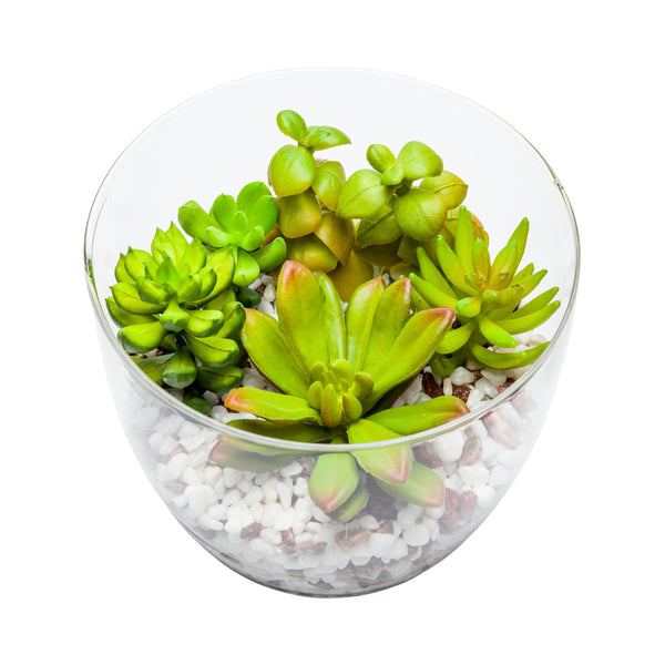 Restaurantware Plastic Table Art Faux Succulent Arrangement - Glass Terrarium Vase - 5 1/2" X 5 1/2" X 5" - 1 Count Box
