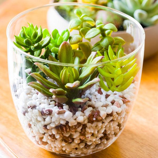 Restaurantware Plastic Table Art Faux Succulent Arrangement - Glass Terrarium Vase - 5 1/2" X 5 1/2" X 5" - 1 Count Box