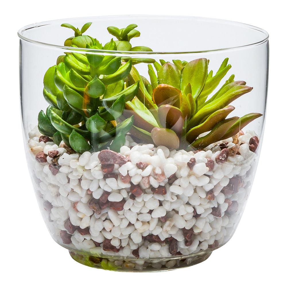 restaurantware Plastic Table Art Faux Succulent Arrangement - Glass Terrarium Vase - 5 1/2" x 5 1/2" x 5" - 1 count box