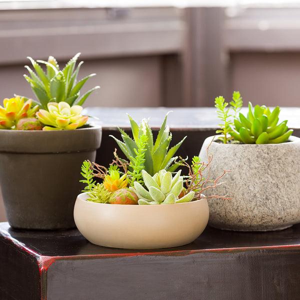 Restaurantware Plastic Table Art Faux Succulent Arrangement - Helio Porcelain Planter Taupe - 6" X 6" X 5 1/4" - 1 Count Box