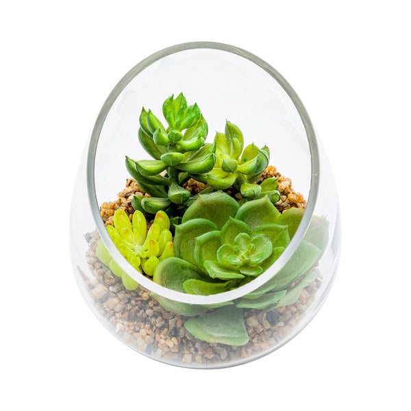 Restaurantware Plastic Table Art Faux Succulent Arrangement - Incline Edge Glass Terrarium - 4 3/4" X 4 3/4" X 5" - 1 Count Box