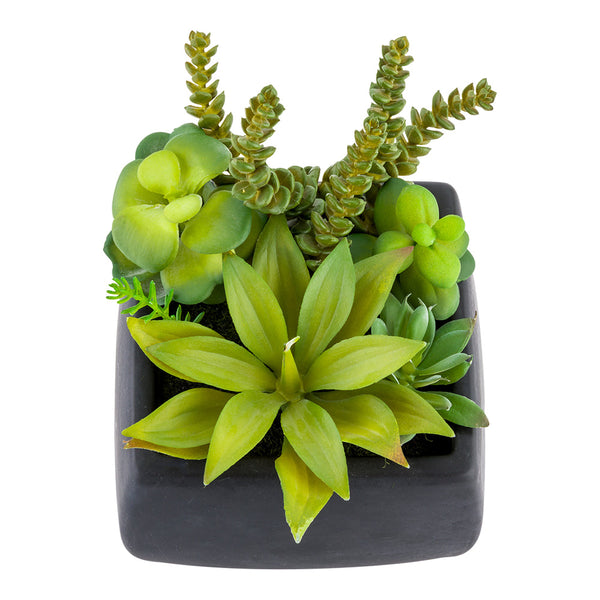 Restaurantware Plastic Table Art Faux Succulent Arrangement - Porcelain Planter Black - 6" X 6" X 8 1/2" - 1 Count Box