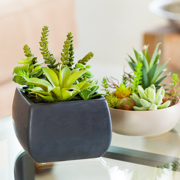 Restaurantware Plastic Table Art Faux Succulent Arrangement - Porcelain Planter Black - 6" X 6" X 8 1/2" - 1 Count Box