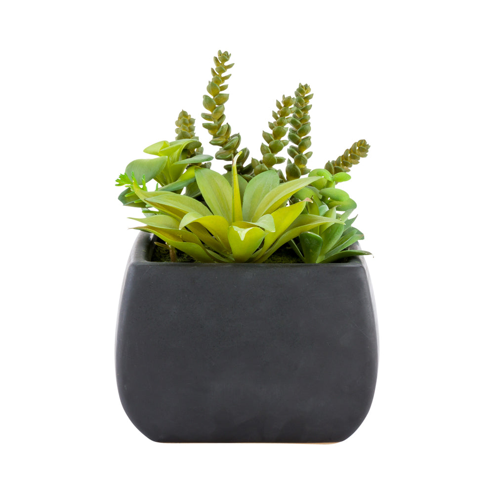 restaurantware Plastic Table Art Faux Succulent Arrangement - Porcelain Planter Black - 6" x 6" x 8 1/2" - 1 count box