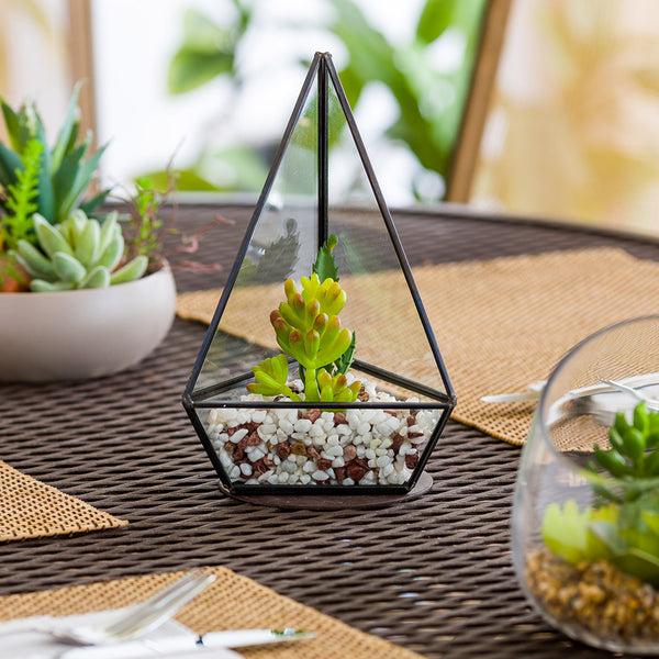 Restaurantware Plastic Table Art Faux Succulent Arrangement - Triangular Glass Terrarium Black - 8 1/2" X 5" X 3 1/2" - 1 Count Box